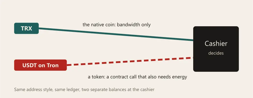 Two lanes into one cashier: a short lane labelled TRX, the native coin, and a longer lane labelled USDT on Tron, a token that needs energy to move